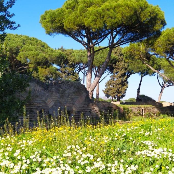 Ferienwohnung Per Antiqua Itinere Ostia Antica Exterior foto